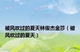 被风吹过的夏天林俊杰金莎（被风吹过的夏天）