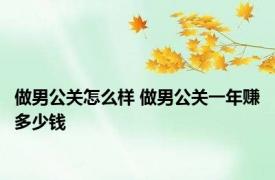 做男公关怎么样 做男公关一年赚多少钱 