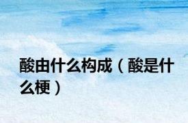 酸由什么构成（酸是什么梗）