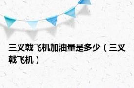 三叉戟飞机加油量是多少（三叉戟飞机）