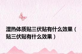 湿热体质贴三伏贴有什么效果（贴三伏贴有什么效果）