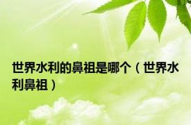 世界水利的鼻祖是哪个（世界水利鼻祖）