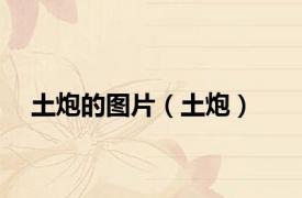 土炮的图片（土炮）