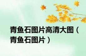 青鱼石图片高清大图（青鱼石图片）