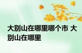 大别山在哪里哪个市 大别山在哪里 