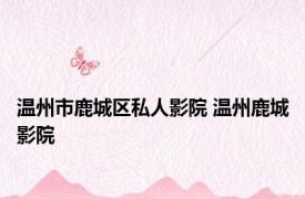 温州市鹿城区私人影院 温州鹿城影院 