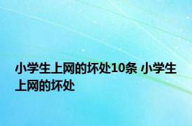 小学生上网的坏处10条 小学生上网的坏处 