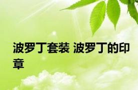 波罗丁套装 波罗丁的印章 