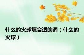 什么的火球填合适的词（什么的火球）