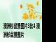 澳洲杉盆景图片3比4 澳洲杉盆景图片 