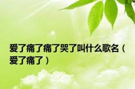 爱了痛了痛了哭了叫什么歌名（爱了痛了）