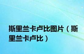 斯里兰卡卢比图片（斯里兰卡卢比）