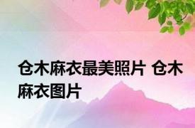 仓木麻衣最美照片 仓木麻衣图片 