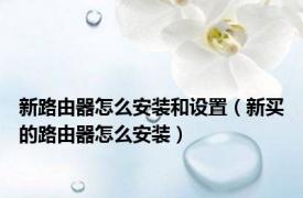 新路由器怎么安装和设置（新买的路由器怎么安装）