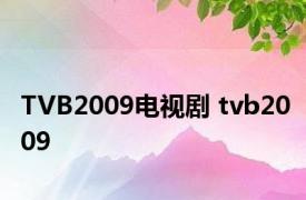 TVB2009电视剧 tvb2009 