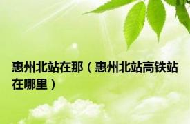 惠州北站在那（惠州北站高铁站在哪里）