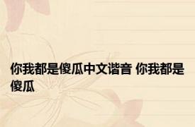 你我都是傻瓜中文谐音 你我都是傻瓜 