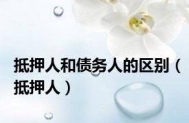抵押人和债务人的区别（抵押人）