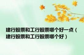 建行股票和工行股票哪个好一点（建行股票和工行股票哪个好）