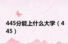 445分能上什么大学（445）