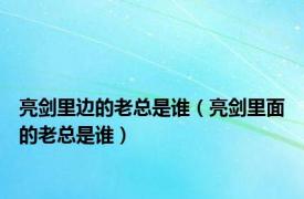 亮剑里边的老总是谁（亮剑里面的老总是谁）