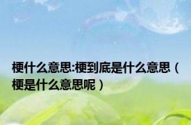 梗什么意思:梗到底是什么意思（梗是什么意思呢）