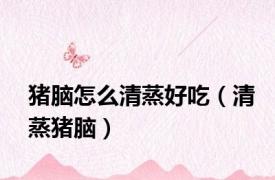 猪脑怎么清蒸好吃（清蒸猪脑）