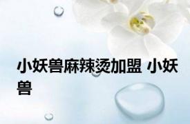 小妖兽麻辣烫加盟 小妖兽 