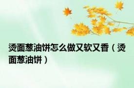烫面葱油饼怎么做又软又香（烫面葱油饼）
