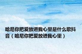 哈尼你把爱放进我心里是什么歌抖音（哈尼你把爱放进我心里）