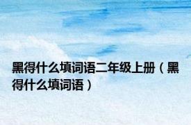 黑得什么填词语二年级上册（黑得什么填词语）