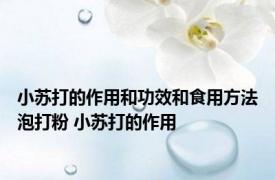 小苏打的作用和功效和食用方法泡打粉 小苏打的作用 