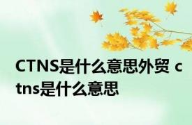 CTNS是什么意思外贸 ctns是什么意思 