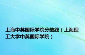 上海中英国际学院分数线（上海理工大学中英国际学院）