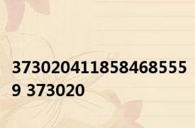3730204118584685559 373020 