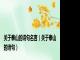 关于泰山的诗句名言（关于泰山的诗句）