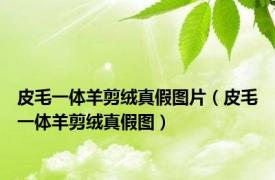 皮毛一体羊剪绒真假图片（皮毛一体羊剪绒真假图）