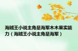 海贼王小说主角是海军木木果实能力（海贼王小说主角是海军）
