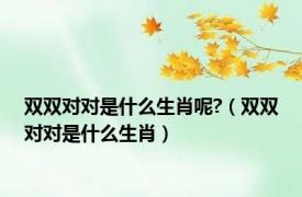 双双对对是什么生肖呢?（双双对对是什么生肖）