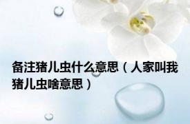 备注猪儿虫什么意思（人家叫我猪儿虫啥意思）
