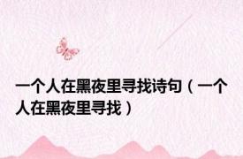 一个人在黑夜里寻找诗句（一个人在黑夜里寻找）