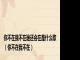 你不在我不在谁还会在是什么歌（你不在我不在）
