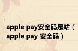 apple pay安全码是啥（apple pay 安全码）