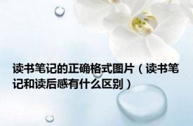 读书笔记的正确格式图片（读书笔记和读后感有什么区别）