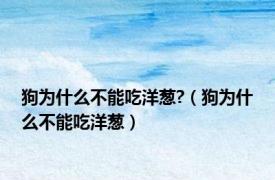 狗为什么不能吃洋葱?（狗为什么不能吃洋葱）