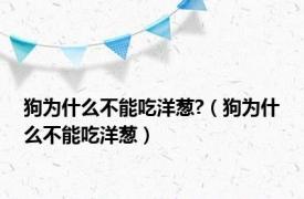 狗为什么不能吃洋葱?（狗为什么不能吃洋葱）