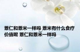 薏仁和薏米一样吗 薏米有什么食疗价值呢 薏仁和薏米一样吗 