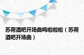 苏荷酒吧开场曲呜啦啦啦（苏荷酒吧开场曲）