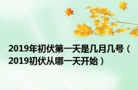 2019年初伏第一天是几月几号（2019初伏从哪一天开始）