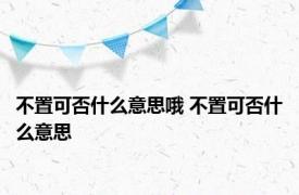 不置可否什么意思哦 不置可否什么意思 